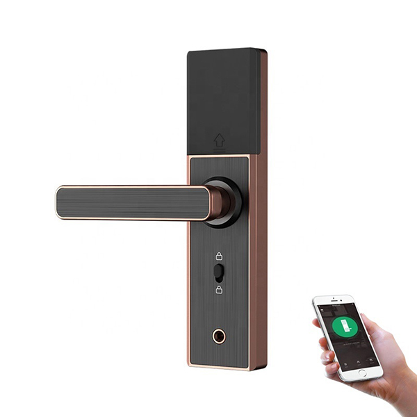 Pintu Elektronik Digital Smart Lock